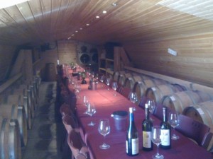 Tura Estate Winery tasting room. Fun Joel Israel Tour Guide.